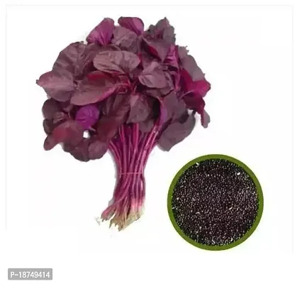 Red Spinach Seed 300