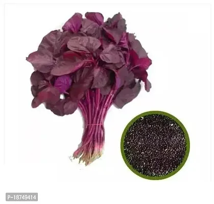 Red Spinach Seed 300