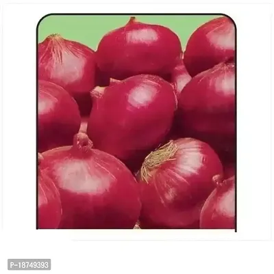 Organic Onion Pyaj Kanda Home Gardening Seed 250 Per Packet-thumb0