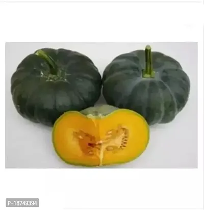 Dark Hybrid Pumpkin Green High Yield Seeds (50 Seeds)-thumb0