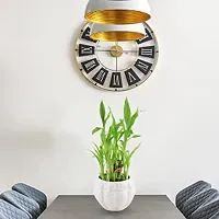 Real nature 2layer lucky bamboo plant in square glass pot-thumb3