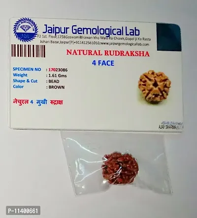 Elegant Lab Certified Brahma 4 Mukhi/Face Rudraksha/Rudraksh Bead RED Color Silk Thread/DHaga and Lucky coiin FREEE-thumb0