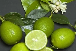 All Time Dasi Pati Lemon Plant(Pack of 1)-thumb2