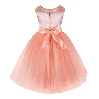 Stunning Peach Net Self Pattern A-Line Dress For Girls-thumb1