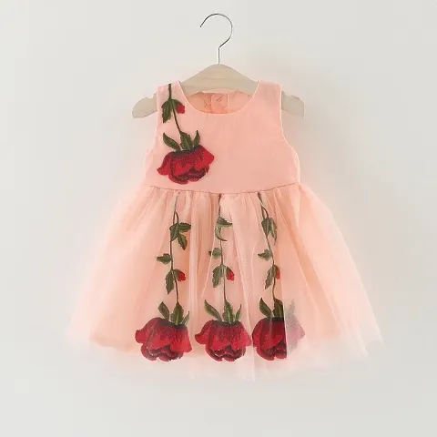 Floral Print Net Dress for Girls