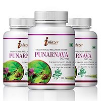 Punarnava Herbal Capsules For Improves Vision 100% Ayurvedic Pack Of 3-thumb1