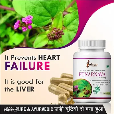 Punarnava Herbal Capsules For Improves Vision 100% Ayurvedic Pack Of 1