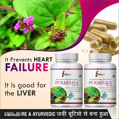 Punarnava Herbal Capsules For Improves Vision 100% Ayurvedic Pack Of 2