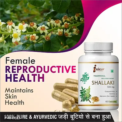 Shallkai Herbal Capsules For Osteoarthritis 100% Ayurvedic Pack Of 1