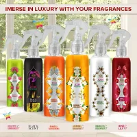 ST-JOHN Room Freshener | Long Lasting Fragrance | Jasmine  Sandalwood | Combo Pack of 3 Spray (3 x 250 ml)-thumb4