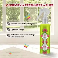 ST-JOHN Room Freshener | Long Lasting Fragrance | Eucalyptus  Lemongrass | Combo Pack of 2 Spray (2 x 250 ml)-thumb2