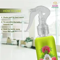 ST-JOHN Room Freshener | Long Lasting Fragrance | Eucalyptus  Lemongrass | Combo Pack of 2 Spray (2 x 250 ml)-thumb3