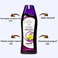 Ayur Herbals Amla  Shikakai Shampoo with Reetha and Natural ingredients | For Men and Women | 500 ML-thumb2