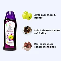 Ayur Herbals Amla  Shikakai Shampoo with Reetha and Natural ingredients | For Men and Women | 500 ML-thumb3