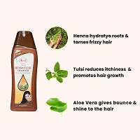 Ayur Herbals Heena Tulsi shampoo with Heena tulsi  Aloevera for Dry hair | For Men and Women | 1000 ML-thumb3