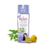 Rosa Hair  Scalp Shampoo 1000 Ml with Tea Tree Oil and Lemon-thumb1