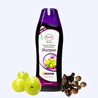 Ayur Herbals Amla  Shikakai Shampoo with Reetha and Natural ingredients | For Men and Women | 500 ML-thumb1