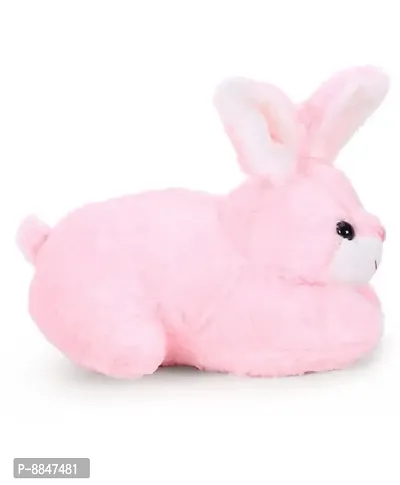 Pink Rabbit Best Gift For Couple, Valentine Gift, Birthday Gift etc. High Quality Soft Toy - 25 cm-thumb3