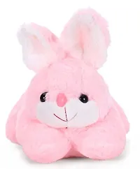 2 Pcs Combo Pack Yellow Rabbit And Pink Rabbit Soft Toys Best Gift For Valentine Day, Kids Birthday, Marriage Anniversary etc. High Quality Soft Material Attractive Rabbit - 25 Cm-thumb4