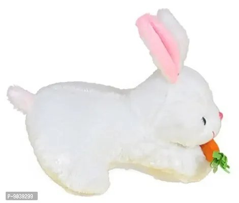 2 Pcs Yellow Rabbit And White Rabbit Soft Toys Best Gift For Valentine Day, Kids Birthday, Marriage Anniversary etc. High Quality Soft Material Attractive Rabbit - 25 Cm-thumb5