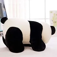 1 Pcs Blue Teddy And 1 Pcs Panda Best Gift For Couple High Quality Soft Toy ( Blue Teddy - 25 cm And Panda - 25 cm )-thumb4