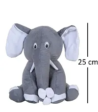 1 Pcs Blue Teddy And 1 Pcs Grey Appu Elephant Best Gift For Couple High Quality Soft Toy ( Blue Teddy - 25 cm And Elephant- 25 cm )-thumb2