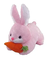 1 Pcs Pink Love Teddy And 1 Pcs Pink Rabbit Carrot Best Gift For Couple High Quality Soft Toy ( Pink Teddy - 25 cm And Rabbit - 25 cm )-thumb2