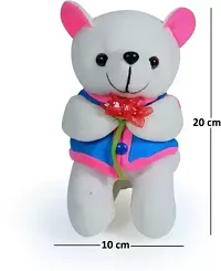 Soft Toys Red Love Teddy And Rose Teddy Bear For Couple Best Gift For Your Partner High Quality Soft Material Good Looking Soft Toys ( Red Teddy - 25 cm And Rose Teddy - 20 cm )-thumb2