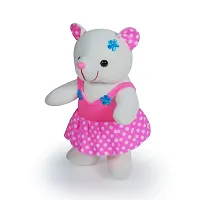 Soft Toys Pink Teddy Bear And Skirt Teddy Bear For Couple Best Gift For Your Partner High Quality Soft Material Good Looking Soft Toys ( Pink Teddy - 28 cm And Skirt Teddy - 28 cm )-thumb4
