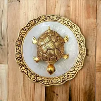 Tortoise with Crystal Clear Plate for Home-thumb3