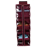 SHREY CREATION Non-Woven Hanging Cloth Organizer / Wardrobe Shelf Organizer with Zip. (6 Shelves, Meroon)-thumb4