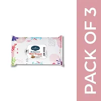 Seabird Gentle Natural Water Based Face Wipes ndash; Best For Adults|Nourishing Skin Care Oil-Free Facial Wipes For Everyday Use |Elevate your mood with every scent Pack Of 3 Combo (3 Refreshing Tissue Alm-thumb1