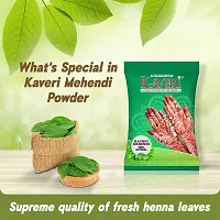 Kaveri Mehendi Powder 100% Natural Henna Powder for Hairs, Hands  Feet 250 gm (pack of 2)-thumb1