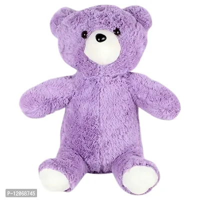 Skylofts 45cm Purple Teddy Bear Soft Toy Birthday Gift for Girls Soft Toys for Girlfriend