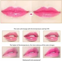 Wiffy Jelly Lipstick Waterproof Long Lasting Colour Changing??(butter, 3.6 g)-thumb2