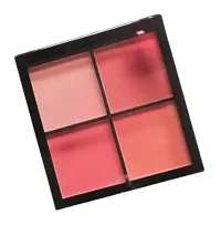 makeup 4 in 1 blusher for face-thumb1