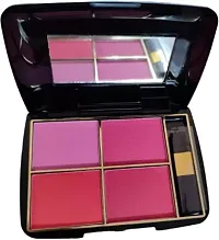 Matte Finish Multi Shade Glow Blusher Palette (Multicolor)-thumb1