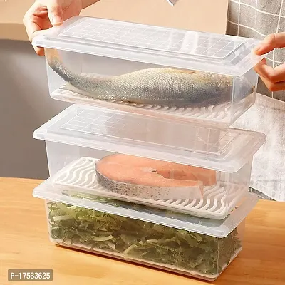 Food Storage Container with Removable Drain Plate and Lid Fridge Storage Box Stackable Plastic Freezer Containers To Keep Fresh for seafood Fish,Meat,Vegetables, Fruits (pack of 3)