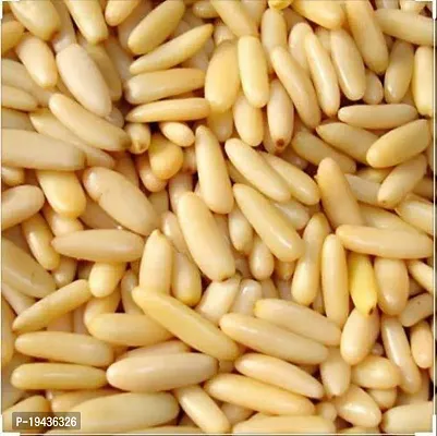 Lebanon Pine Nuts Without Shell | Chilgoza |  Chilgoja | Chilgoza Giri Dry Fruit | Chilgoze (Jumbo Size) (100gm)-thumb3