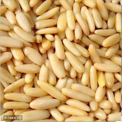 Lebanon Pine Nuts Without Shell | Chilgoza |  Chilgoja | Chilgoza Giri Dry Fruit | Chilgoze (Jumbo Size) (200gm)-thumb3