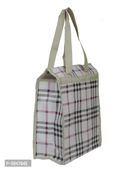 Tiffin Lunch Box Tote Bag for Women and Men Lunch Bag (White, 10 L)