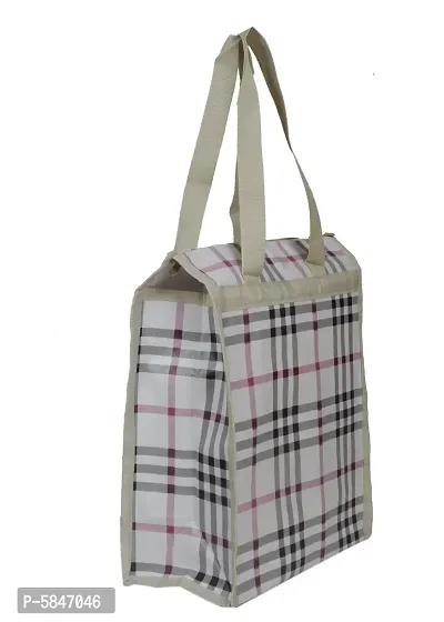 Tiffin Lunch Box Tote Bag for Women and Men Lunch Bag (White, 11 L)