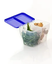 Metrolife 2 in 1 Transparent Masala Box || Multipurpose Kitchen Storage Food Container-thumb1