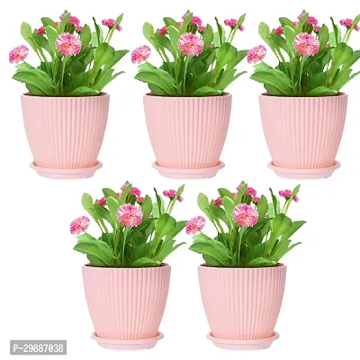 Modern Plastic Decorative Flower Vase, Pack of 5