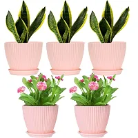 Modern Plastic Decorative Flower Vase, Pack of 5-thumb4