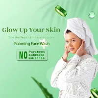 Nandurba Foaming Face Wash Bioneem, Tear Tree and Aloe vera Neem for Pimples, Dry  Oily Skin-thumb1