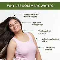 Alps Goodness Rosemary Water Hair Spray for Regrowth-thumb2