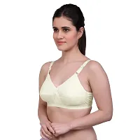 MAROON-405 Cotton Jersey Seamed Non Padded Women's Set of 1 Full Coverage Bra-thumb1
