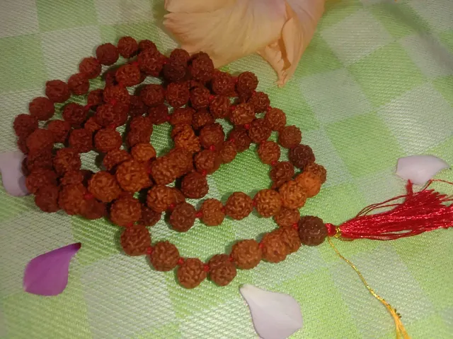 Rudraksha Mala (108 Beads) Himalayan - Japa Prayer Beads Mala