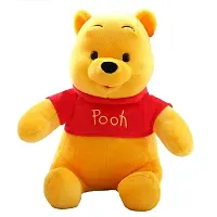 SPIRITUAL HOUSE Cute Fluffy Winnie Pooh Teddy Bear Stuffed Soft Toy for Gifting Loved Once on Occasion Like Valentine Birthday Rakhi Diwali.-thumb2